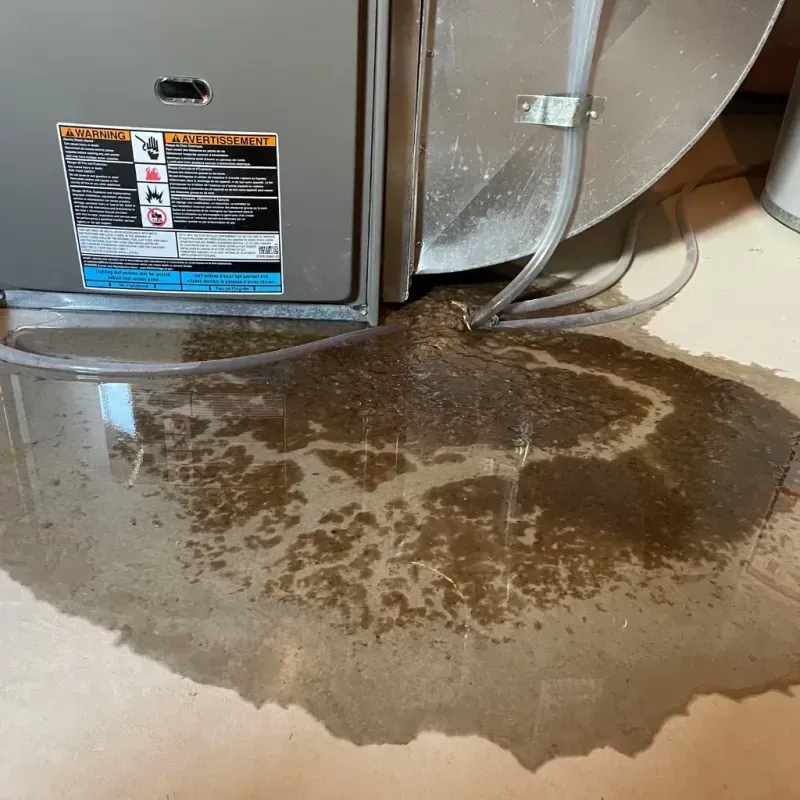 Appliance Leak Cleanup in Scottsboro, AL